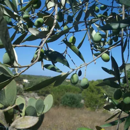 Appartement Palazzo Luceri *