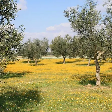 Appartement Palazzo Luceri